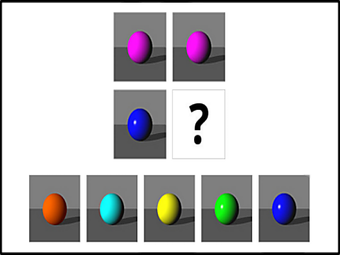 Assessment Technologies - Screen Shot